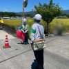 Point Blur_20250731_184601